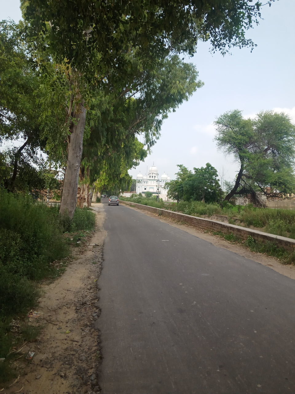 ROAD AMIDST TREES IN CITY