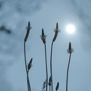 sky