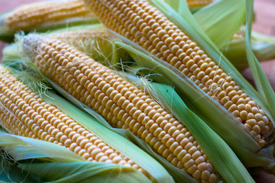 Close-up of vegetables