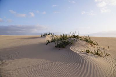 Sand dune in desert against sky