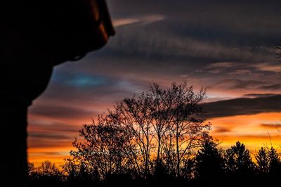 Silhouette trees against sky during sunset