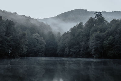 Scenic view of lake by trees against sky