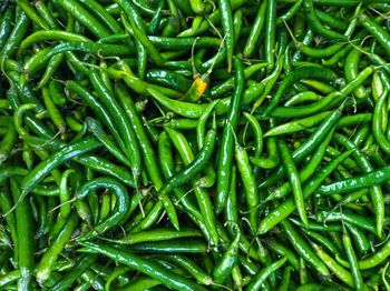 Full frame shot of green chili peppers for sale at market