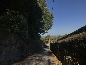 Empty road along trees and plants against sky