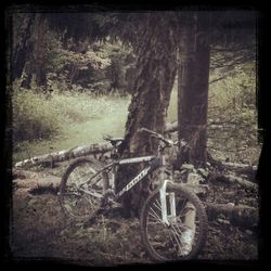 abandoned