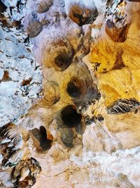 Full frame shot of rock on tree trunk