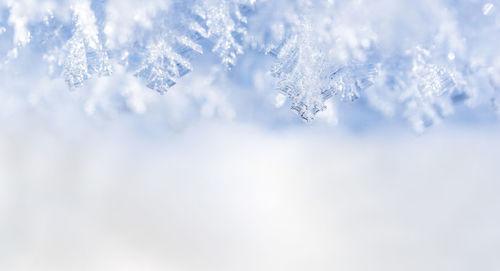 Close-up of snow