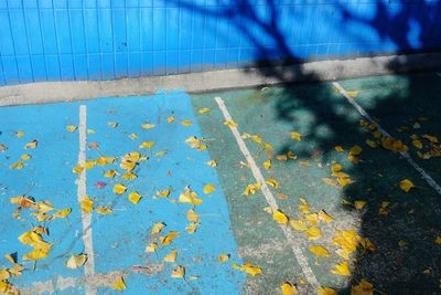 High angle view of road marking on street