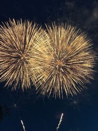 Low angle view of firework display at night