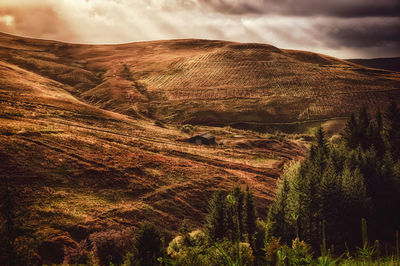 Scenic view of landscape against sky