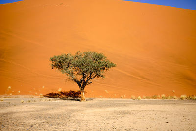 Scenic view of desert against sky during sunset