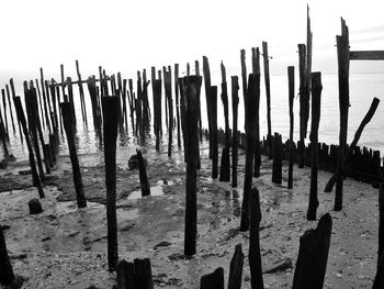 Wooden posts on beach against sky
