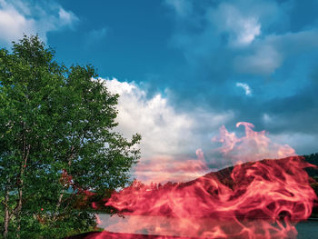 Low angle view of trees against sky