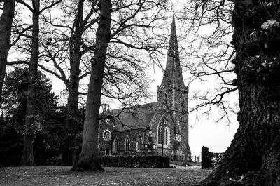 Trees and cathedral against sky