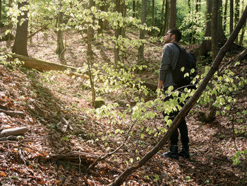 Rear view of man standing by tree in forest