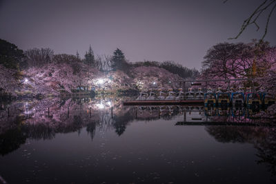 Scenic view of lake against sky at night