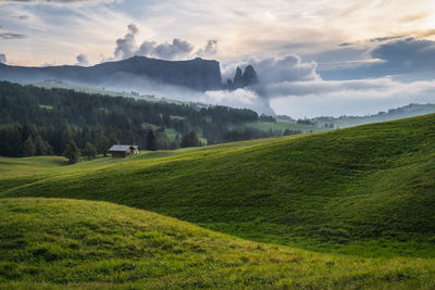 Scenic view of landscape against sky