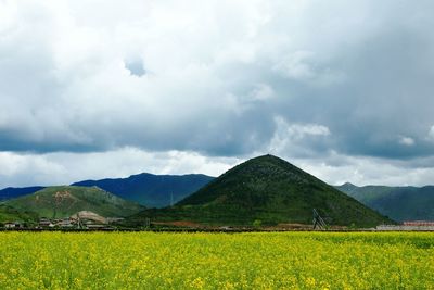 Scenic view of field against sky