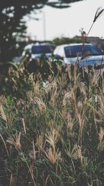 Close-up of damaged car on field