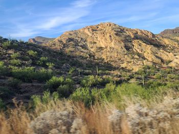 Arizona  mountains 