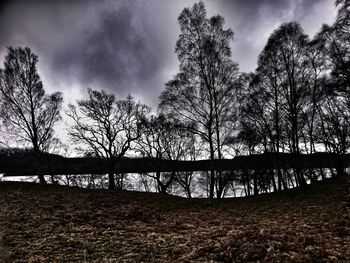 Reflection of trees in lake