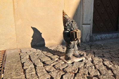 Shadow of cat on footpath