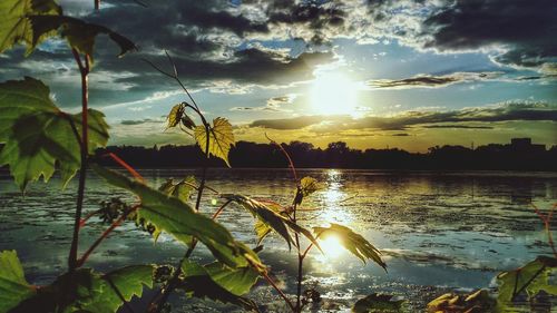 Scenic view of lake at sunset