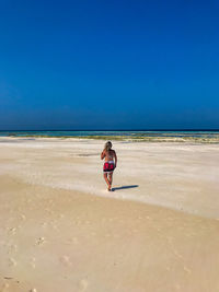 Rear view of man on beach against clear sky