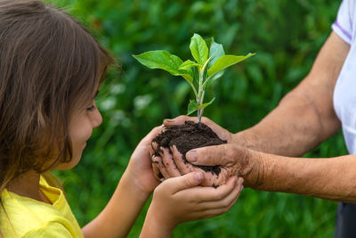 Grandmother giving seedling to granddaughter