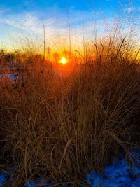 Scenic view of sunset