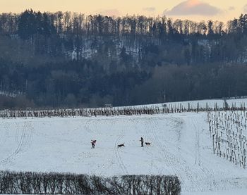 Scenic view of snow covered field against sky