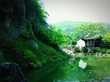 View of houses and trees by river