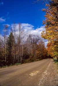 Road amidst trees against sky