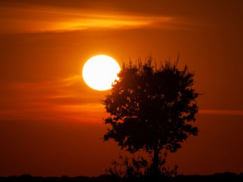 Silhouette tree against romantic sky at sunset