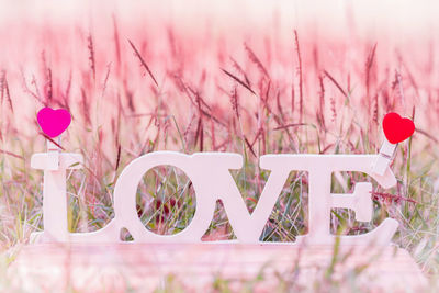 Close-up of love text by plants