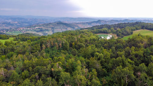 High angle view of trees on landscape against sky