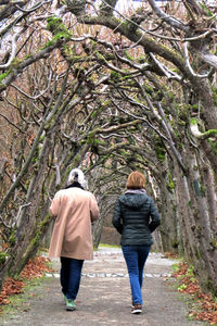 Rear view of friends walking on footpath in forest