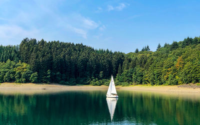 Scenic view of lake in forest against sky