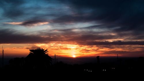 Silhouette of trees at sunset