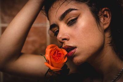 Close-up portrait of rose