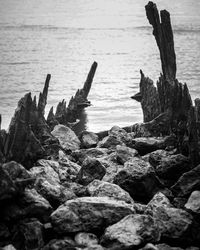 Close-up of rocks on beach