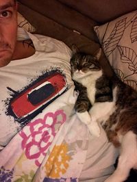 High angle view of cat relaxing on bed at home