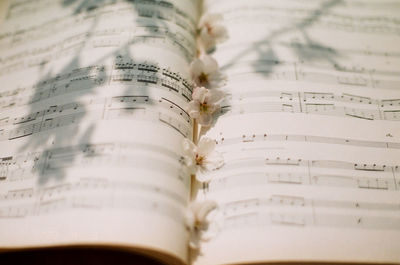 Close-up of flowers on sheet music