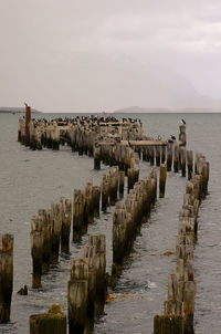 Wooden posts in sea against sky