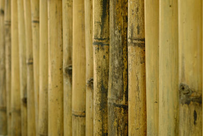 Full frame shot of bamboo fence