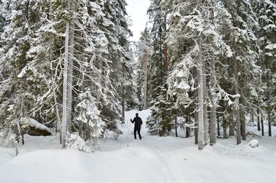 Man walking on snow covered trees