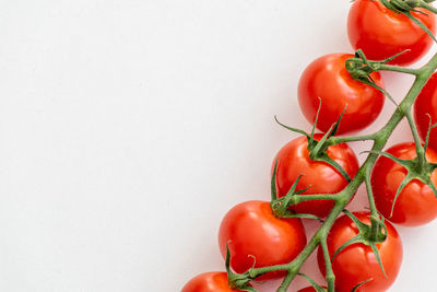 Close-up of tomatoes against white background