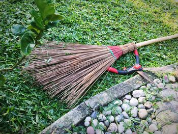 High angle view of person working on field