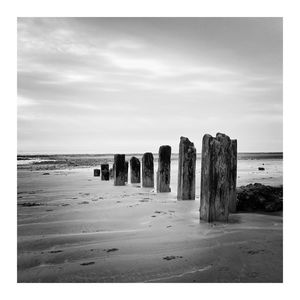 Wooden posts on beach against sky