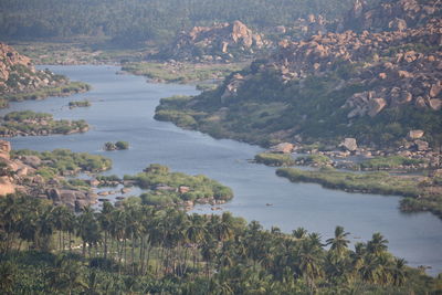 High angle view of lake and trees